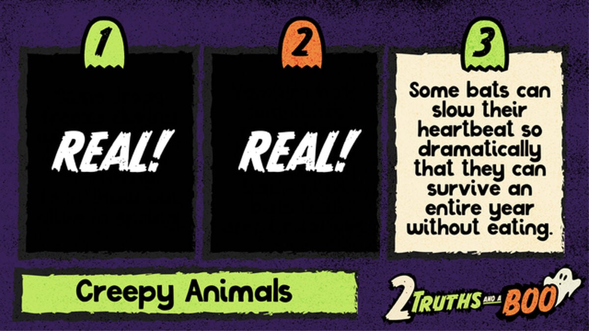 2 Truths and a Boo image number 3